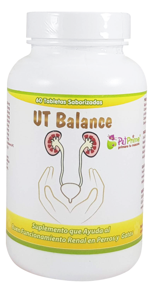 UT Balance